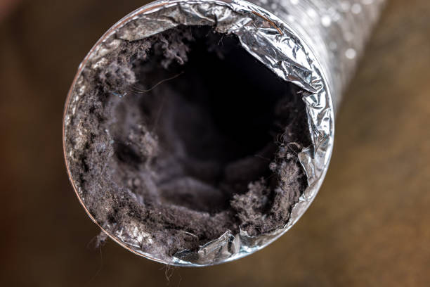 Trusted FL Airduct Cleaning Experts